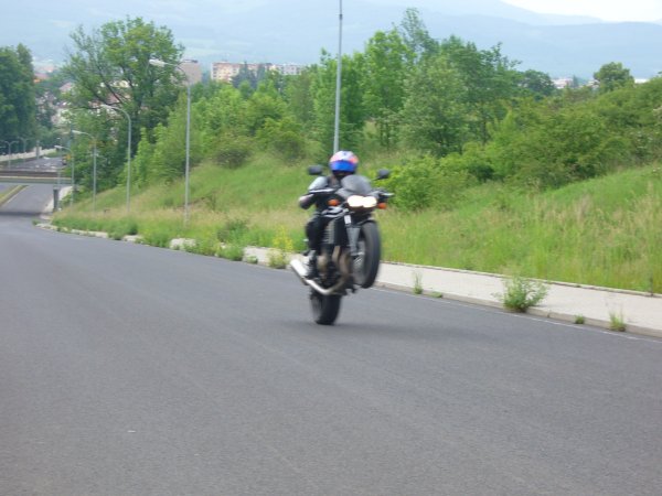4894_1_6l.jpg